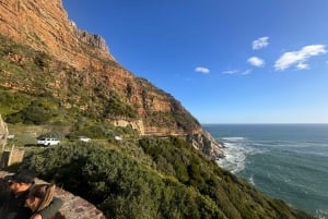 プライベート ツアー: ケープ半島とペンギン ビーチ、ケープ ポイントなど