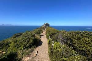 プライベート ツアー: ケープ半島とペンギン ビーチ、ケープ ポイントなど