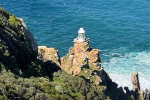 プライベート ツアー: ケープ半島とペンギン ビーチ、ケープ ポイントなど