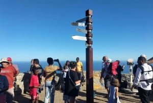 Privat tur: Cape Point, Penguin Beach, Chapmans Peak og meget mere