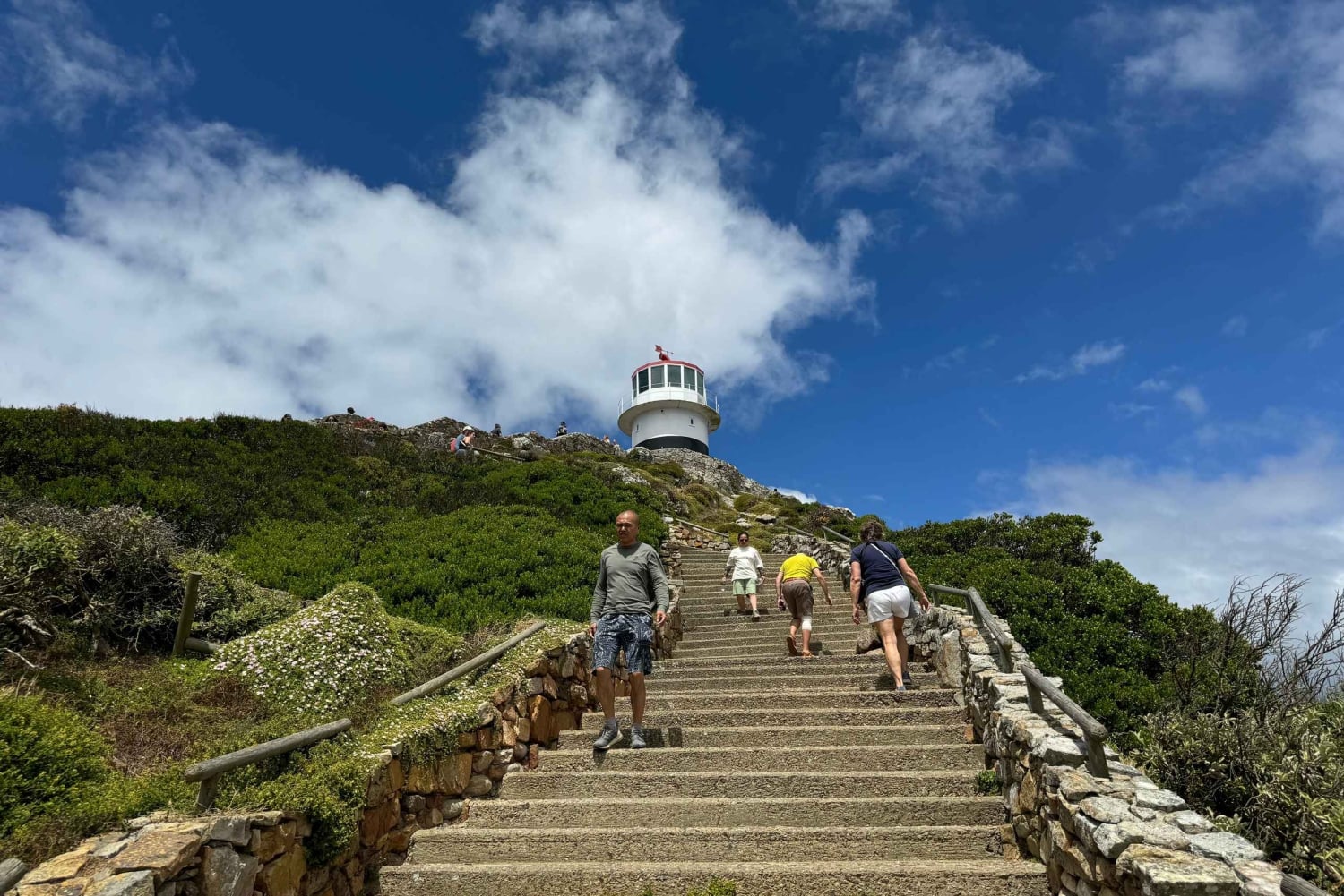 Private Tour: Cape Point, Pinguine, Chapmans Peak & mehr...