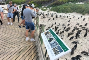 Private Tour: Cape Point, Pinguine, Chapmans Peak & mehr...