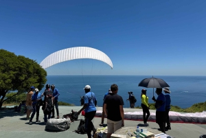 Private Tour: Cape Point, Pinguine, Chapmans Peak & mehr...