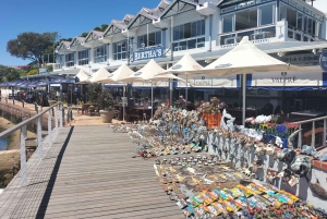 Private Tour: Cape Point, Pinguine, Chapmans Peak & mehr...