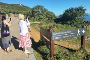 Private Tour: Cape Point, Pinguine, Chapmans Peak & mehr...