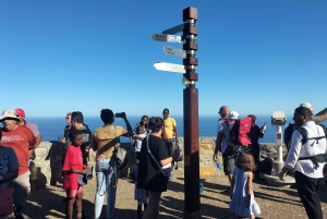Private Tour: Cape Point, Pinguine, Chapmans Peak & mehr...