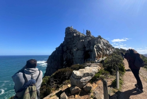 Private Tour: Cape Point, Pinguine, Chapmans Peak & mehr...