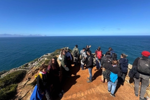Private Tour: Cape Point, Pinguine, Chapmans Peak & mehr...