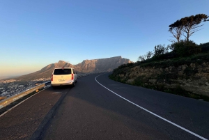 Private Tour: Cape Point, Pinguine, Chapmans Peak & mehr...