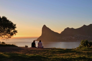 Private Tour: Cape Point, Pinguine, Chapmans Peak & mehr...