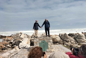Privat tur: Cape Town til Cape Agulhas, hvor to hav møtes