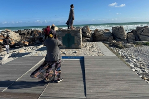 Privat tur: Cape Town til Cape Agulhas, hvor to hav møtes