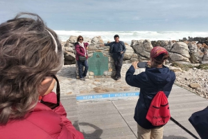 Privat tur: Cape Town til Cape Agulhas, hvor to hav møtes