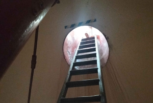 Privat tur: Cape Town til Cape Agulhas, hvor to hav møtes