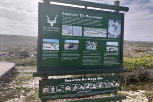 Privat tur: Cape Town til Cape Agulhas, hvor to hav møtes