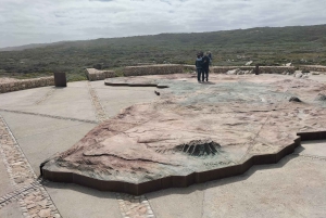 Privat tur: Cape Town til Cape Agulhas, hvor to hav møtes