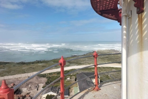 Privat tur: Cape Town til Cape Agulhas, hvor to hav møtes