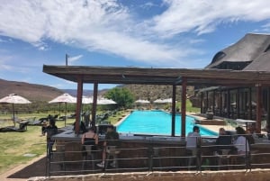 Tour privado - Experimenta el safari de los 5 Grandes en Ciudad del Cabo