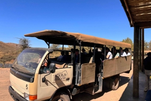 Privat tur - oplev Big-5-safari i Cape Town