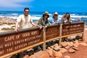 Privat tur fra CapeTown til Cape of Good Hope og Cape Point