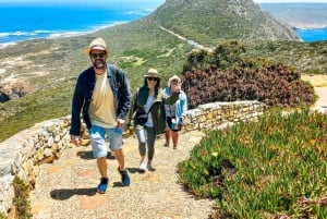 Privat tur fra CapeTown til Cape of Good Hope og Cape Point