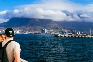 Yksityinen retki Kapkaupungista Hyvän toivon niemelle ja Cape Pointiin
