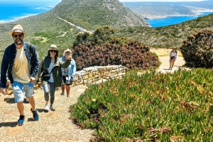 ケープタウンから喜望峰とケープポイントへのプライベートツアー