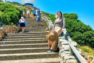 ケープタウンから喜望峰とケープポイントへのプライベートツアー