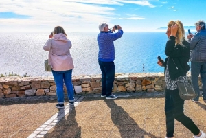 ケープタウンから喜望峰とケープポイントへのプライベートツアー