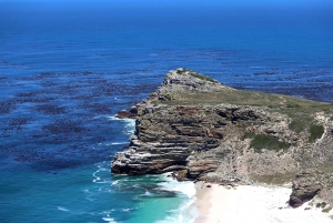 Tour privato di Cape Point + Boulders Beach Penguins Colony