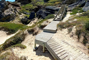 Privat tur til Cape Point + Boulders Beach Penguins Colony