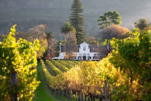 Tour privato del Mondo degli Uccelli, Kirstenbosch e Constantia
