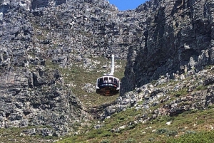 Tour privato: Robben Island, tour della città e Table Mountain