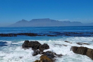 Yksityinen kierros: Robben Island, kaupunkikierros ja Pöytävuori