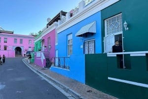 Privat tur: Robben Island, byrundtur og Table Mountain