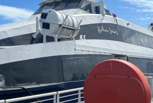 Wycieczka prywatna: Wyspa Robben, wycieczka po mieście i Góra Stołowa