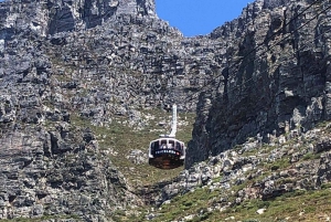 Wycieczka prywatna: Wyspa Robben, wycieczka po mieście i Góra Stołowa