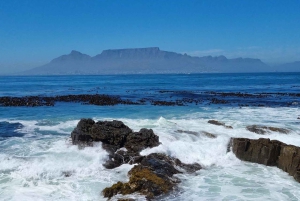 Wycieczka prywatna: Wyspa Robben, wycieczka po mieście i Góra Stołowa