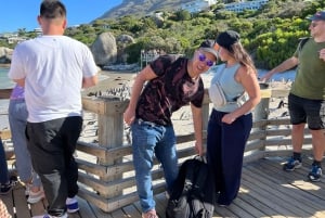 Private Tour, Schwimmen mit Pinguinen am Boulders Beach