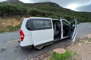 Private Tour, Schwimmen mit Pinguinen am Boulders Beach
