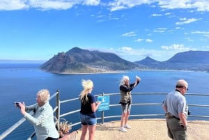 Private Tour, Schwimmen mit Pinguinen am Boulders Beach