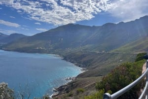 Private Tour, Schwimmen mit Pinguinen am Boulders Beach
