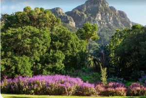 Privat tur: Table Mountain, Constantia Wine & Kirstenbosch