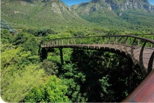 Privat tur: Table Mountain, Constantia Wine & Kirstenbosch