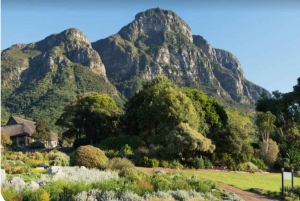 Privat tur: Table Mountain, Constantia Wine & Kirstenbosch
