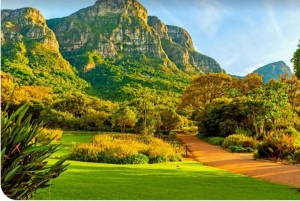 Privat tur: Table Mountain, Constantia Wine & Kirstenbosch