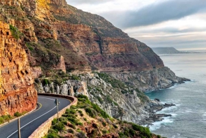 Excursão particular: Table Mountain, Colônia dos Pinguins e Cabo da Boa
