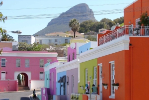 Excursão particular: Table Mountain, Colônia dos Pinguins e Cabo da Boa