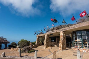 Excursão particular: Table Mountain, Colônia dos Pinguins e Cabo da Boa