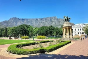 Tour a pie privado: Ciudad del Cabo y Principales Atracciones